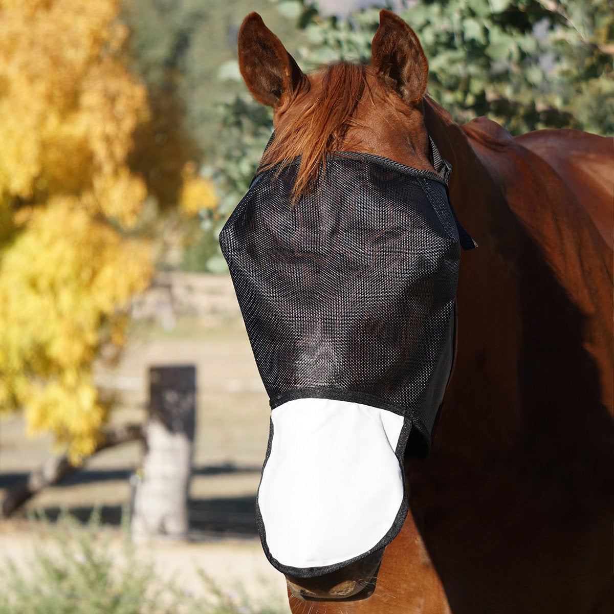 Canvas Nose Cover Flyveil