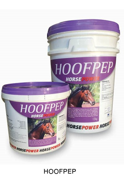 Horsepower Hoofpep
