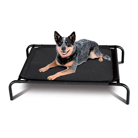 Dog Bed Flea Free Mesh