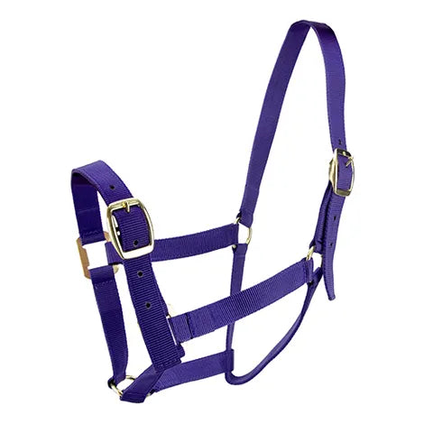 Horse Halters