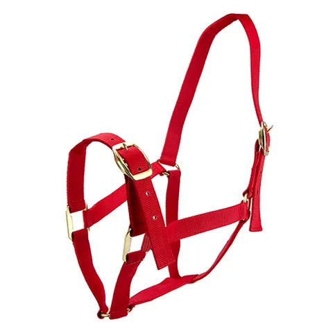 Horse Halters