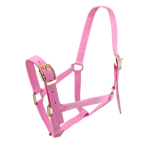 Horse Halters