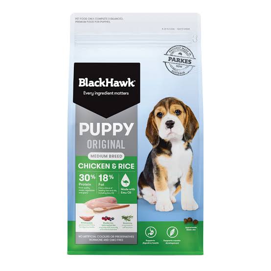 Black Hawk Puppy