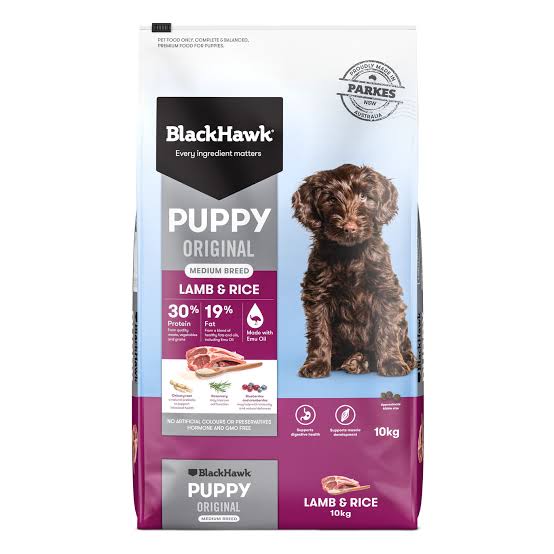 Black Hawk Puppy
