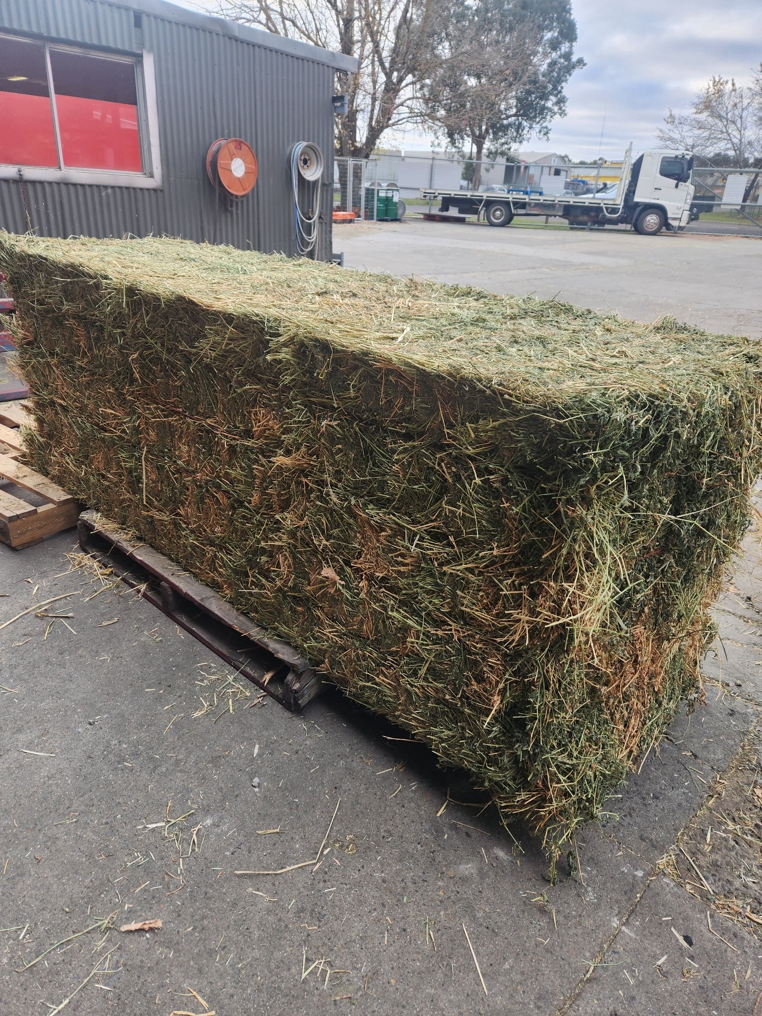 Lucerne Big Bale 8x3x3