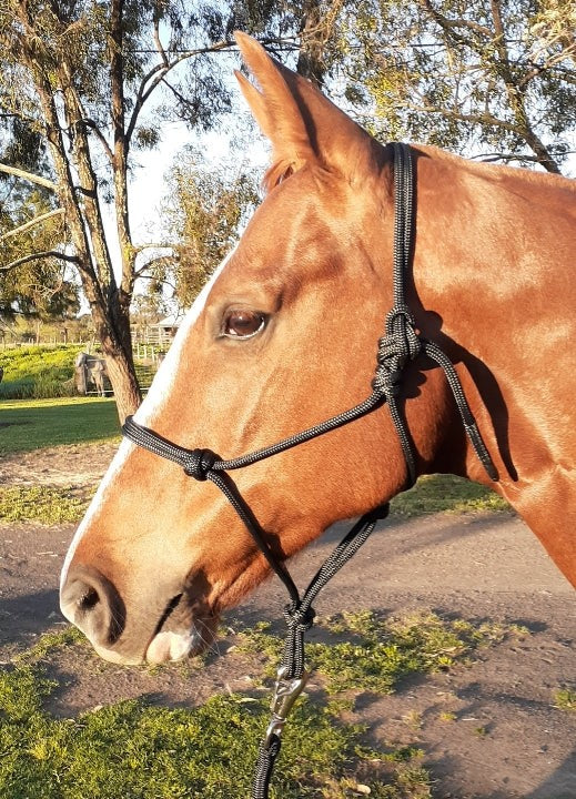 Nungar Knots Headstall 8mm Cob Green [siz:cob Col:green]