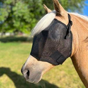 Budget Flyveil Pony Black [siz:pony Col:black]