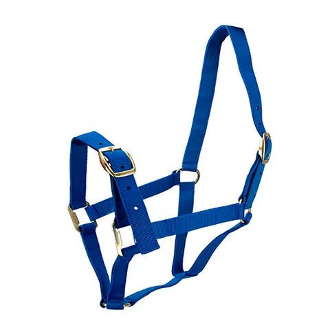 Horse Halters Pony Purple [siz:pony Col:purple]