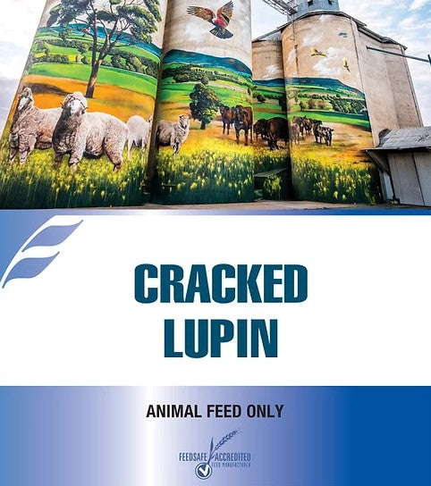 Cracked Lupin