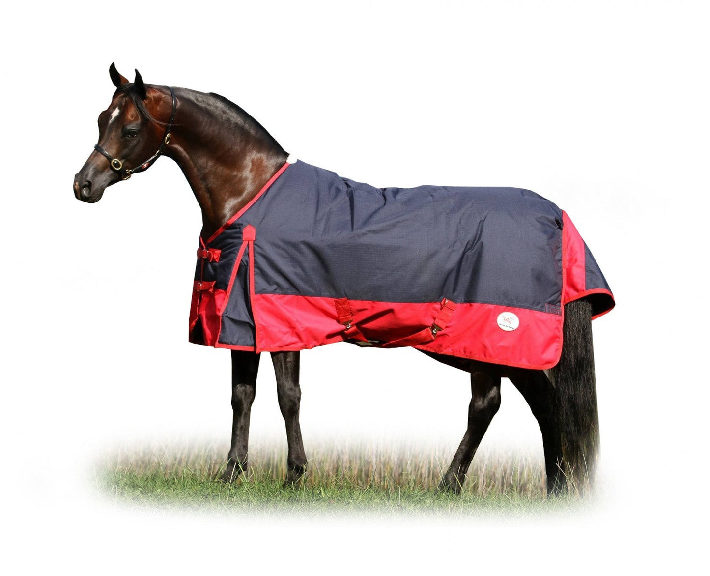 Winter Waterproof Turnout Rug 3' Navy/red [siz:3' Col:navy/red]