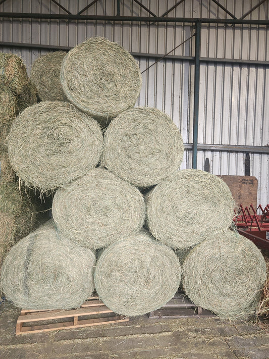 Rhodes Round Bale