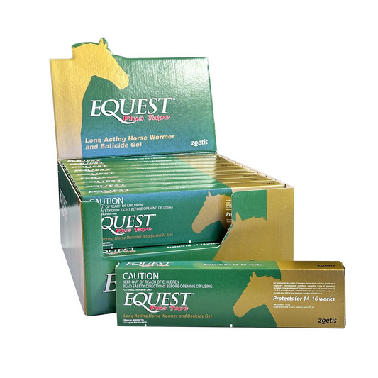 Equest Plus Tape 