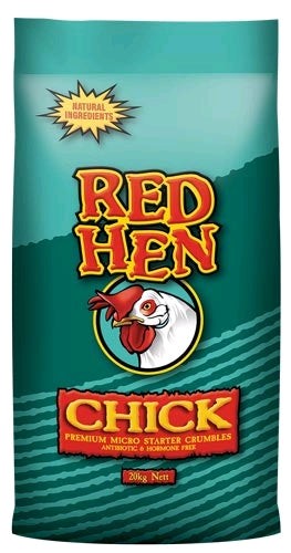 Red Hen Chick