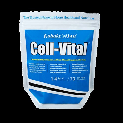 Kohnkes Cell-vital