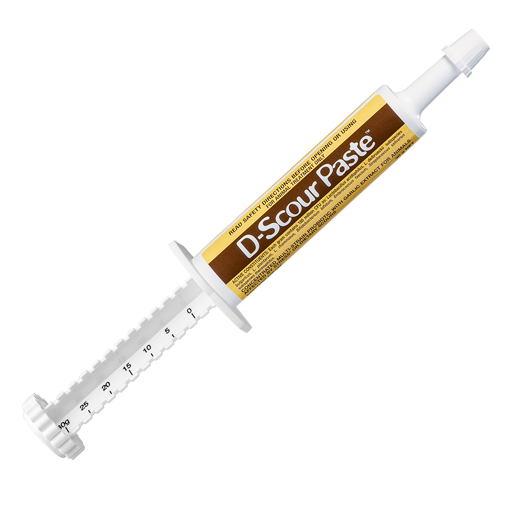 D-scour Paste 30g