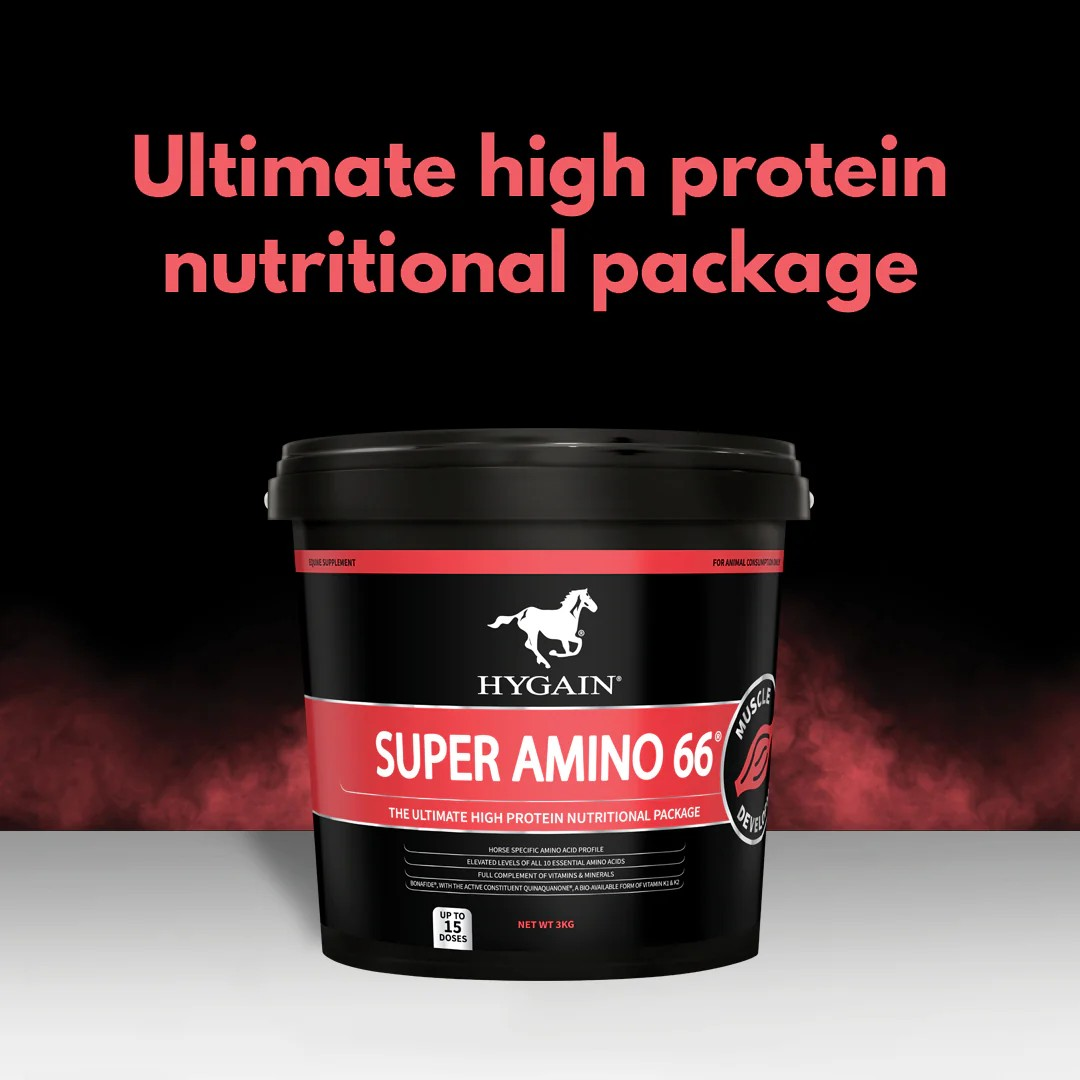 Hygain Super Amino 66 3kg 