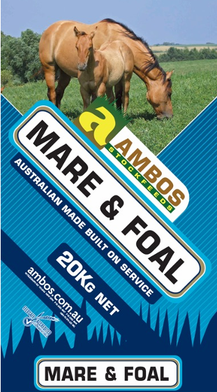 Ambos Mare & Foal 20kg