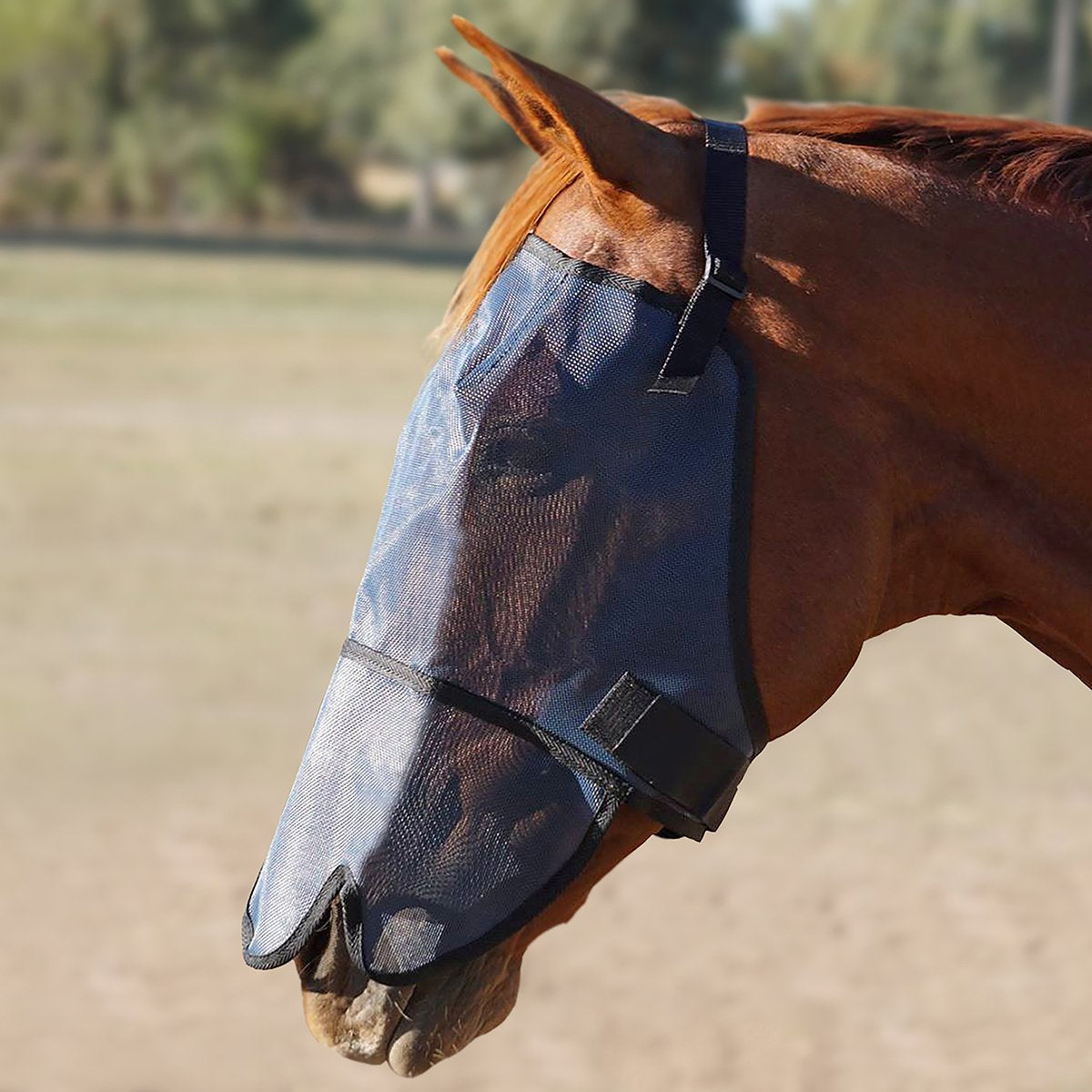 Extended Nose Cover Flyveil