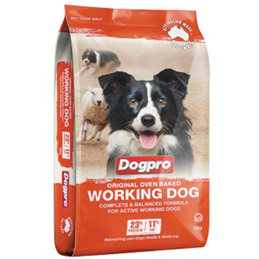 Dogpro Working Dog Original Orange