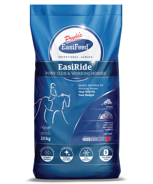 Prydes Easi Ride