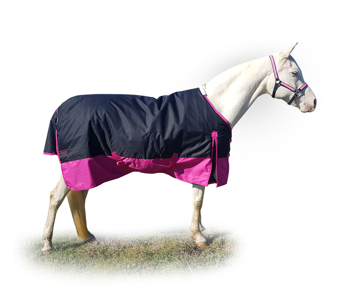 Winter Waterproof Turnout Rug